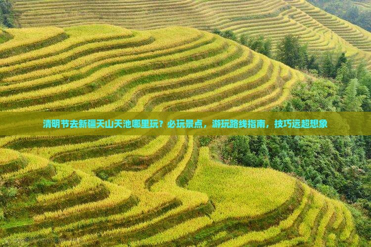 清明节去新疆天山天池哪里玩