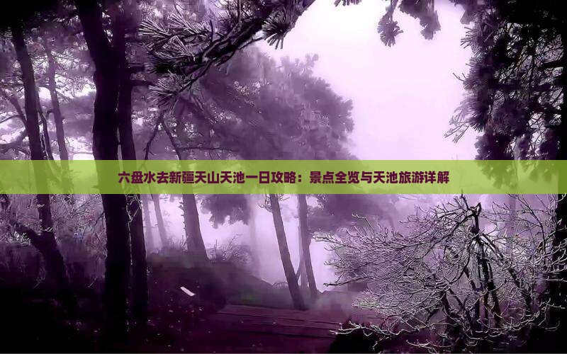 六盘水去新疆天山天池一日