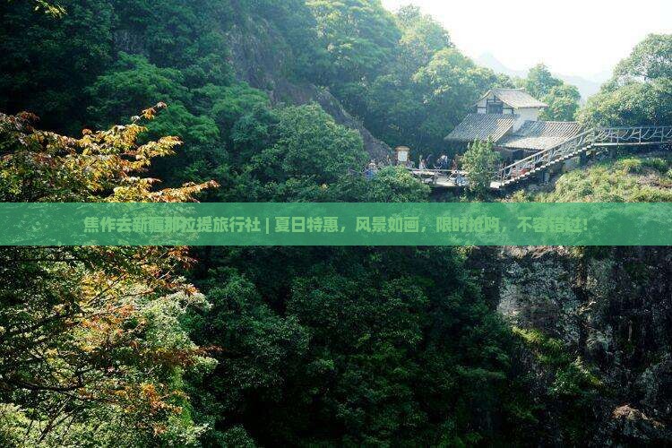 焦作去新疆那拉提旅行社