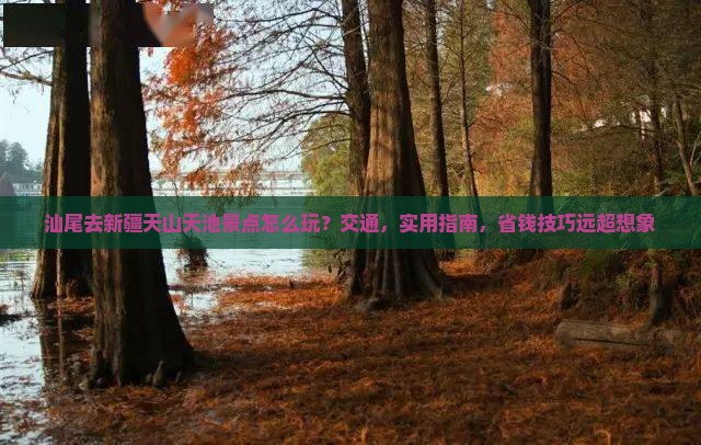 汕尾去新疆天山天池景点