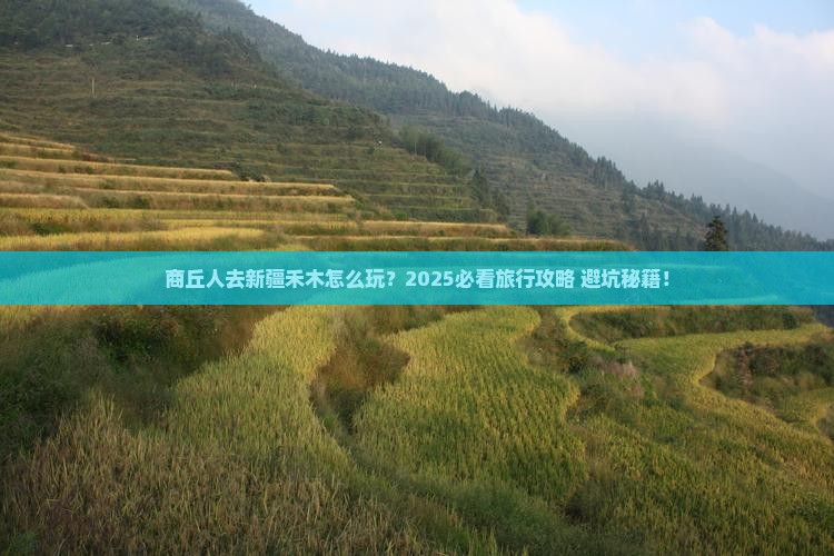 商丘去新疆禾木团体旅游