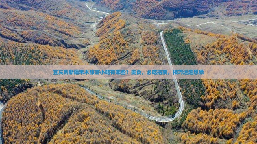 宜宾到新疆禾木旅游小吃