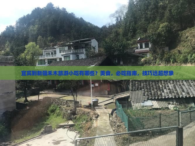 宜宾到新疆禾木旅游小吃