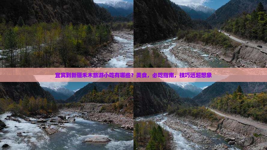 宜宾到新疆禾木旅游小吃
