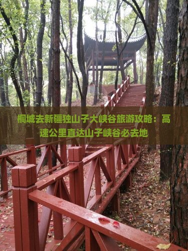 桐城去新疆独山子大峡谷必去地