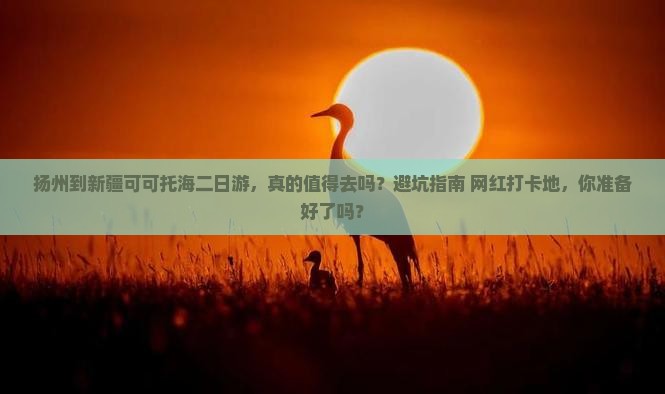 扬州到新疆可可托海二日游
