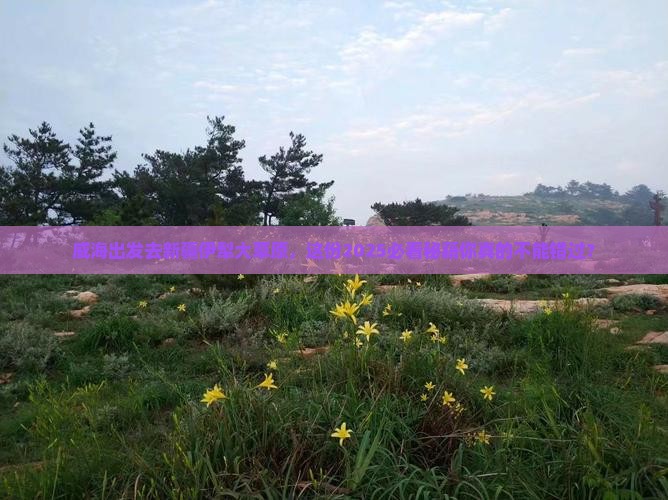 威海到新疆伊犁大草原必去地