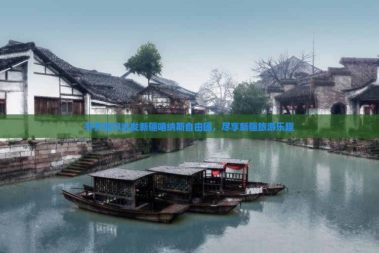齐齐哈尔去新疆喀纳斯自由团