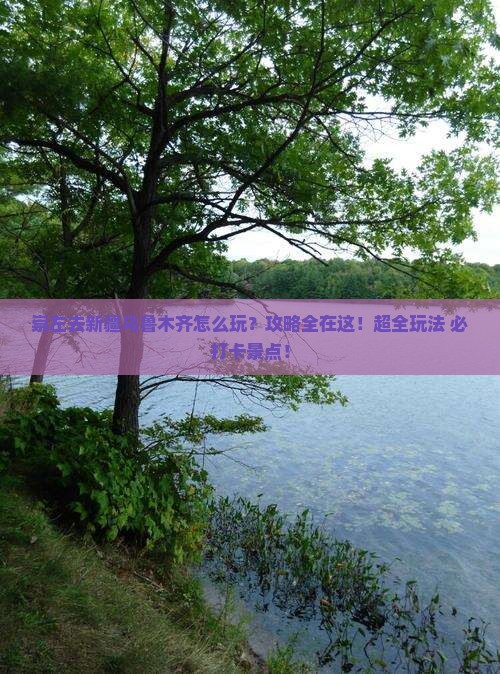 崇左去新疆乌鲁木齐哪里玩