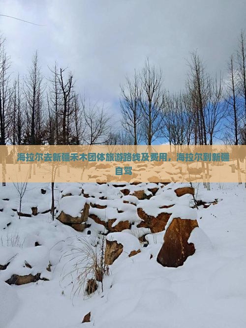 海拉尔去新疆禾木团体旅游