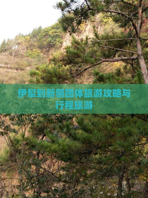伊犁到新疆团体旅游