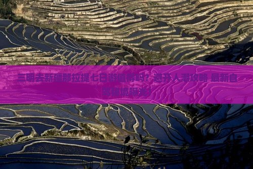 三明去新疆那拉提七日游