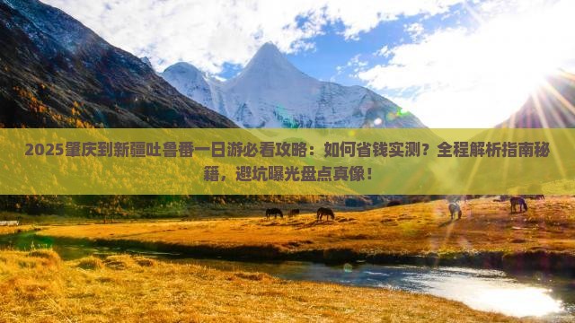 肇庆到新疆吐鲁番一日