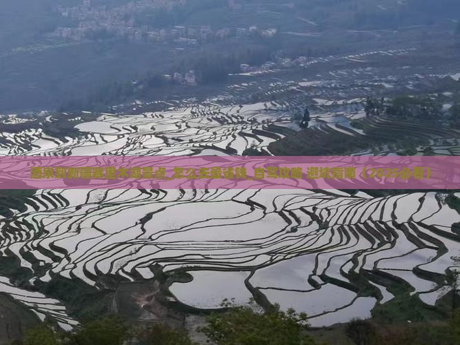 酒泉到新疆赛里木湖景点