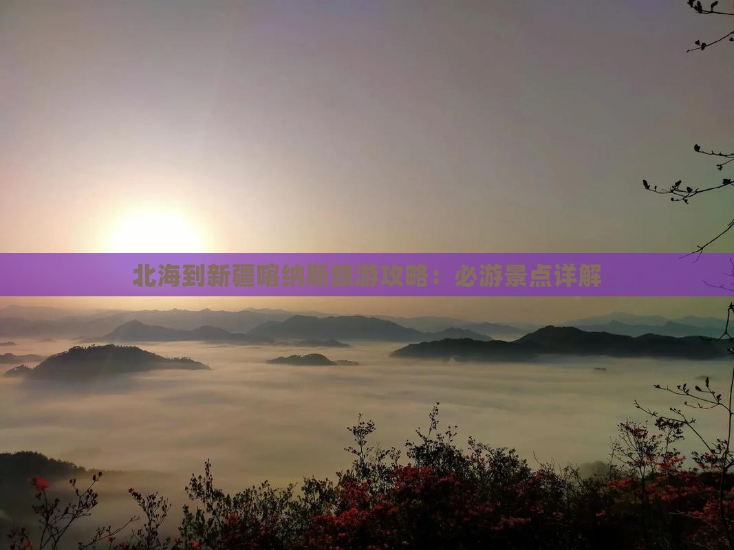 北海去新疆喀纳斯攻略