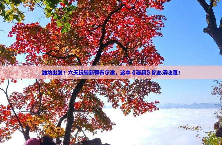 潍坊去新疆布尔津六日游