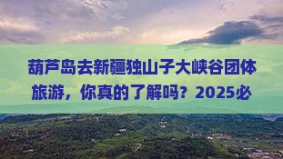 葫芦岛去新疆独山子大峡谷团体旅游
