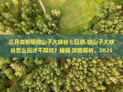 三月去新疆独山子大峡谷七日游