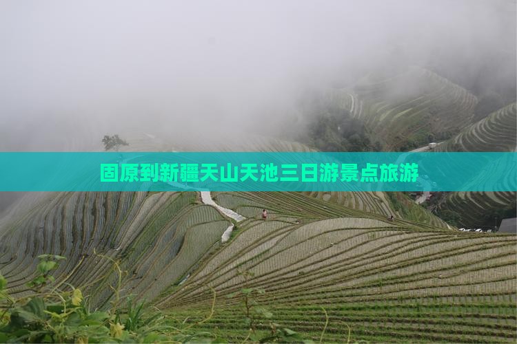 固原去新疆天山天池三日游