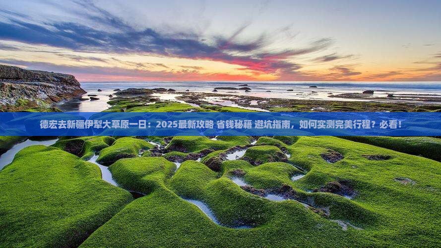 德宏去新疆伊犁大草原一日