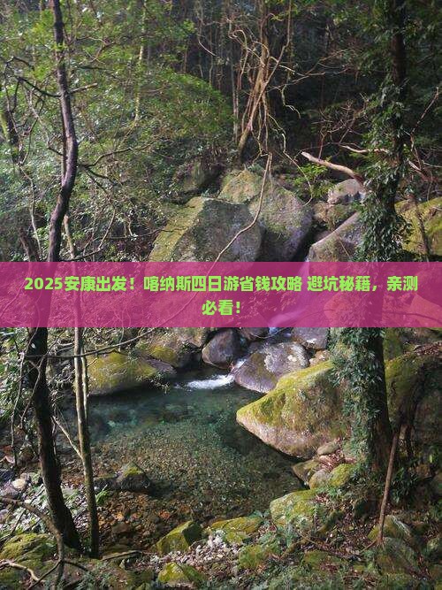 安康去新疆喀纳斯四日游