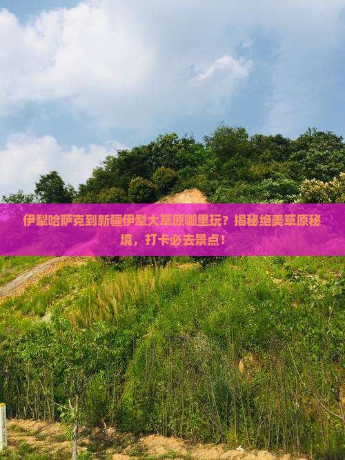 伊犁哈萨克到新疆伊犁大草原哪里玩