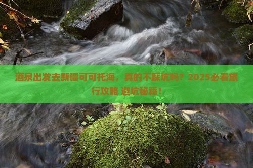 酒泉去新疆可可托海旅行社