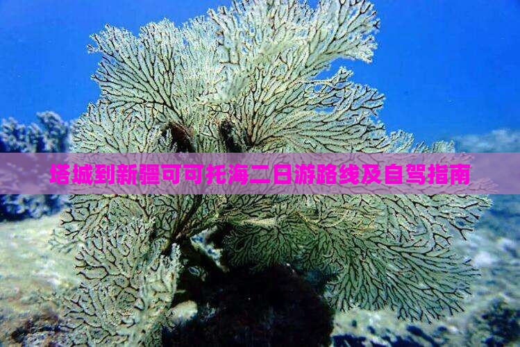 塔城到新疆可可托海二日游