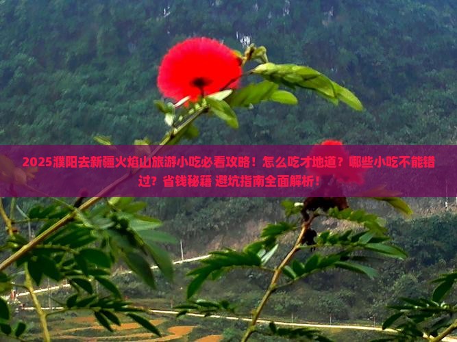 濮阳去新疆火焰山旅游小吃