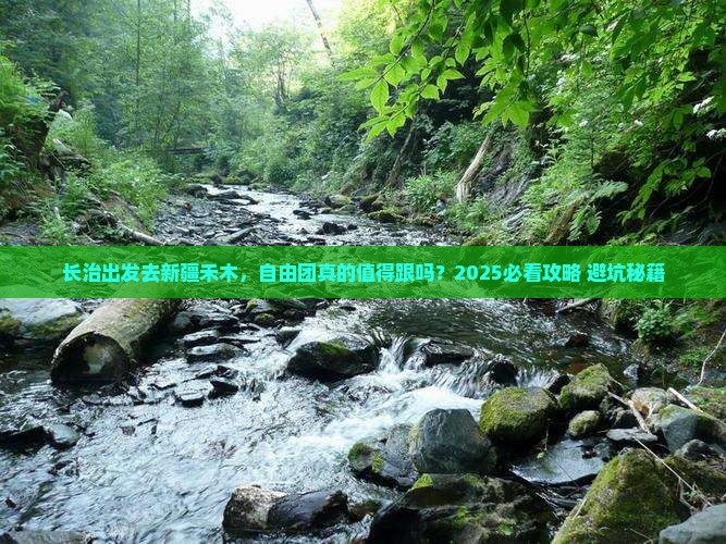 长治去新疆禾木自由团