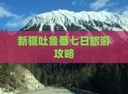 元旦去新疆吐鲁番七日游