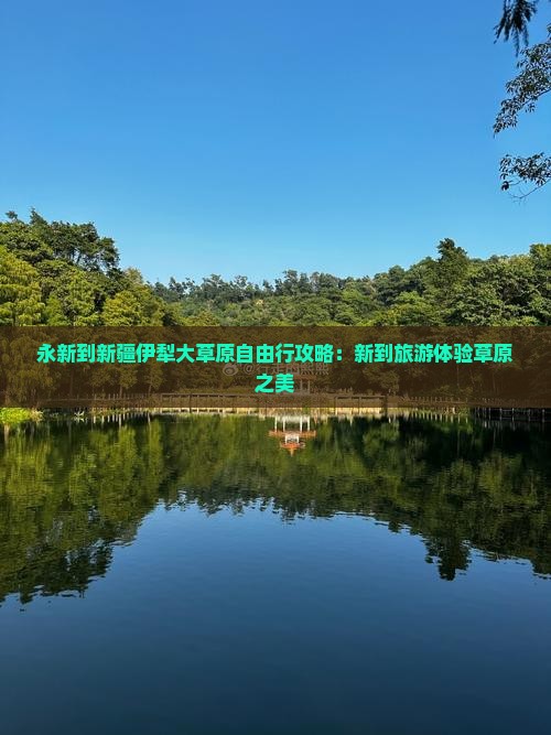 永新到新疆伊犁大草原自由行