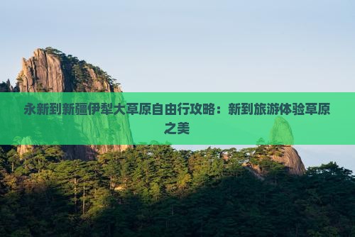 永新到新疆伊犁大草原自由行
