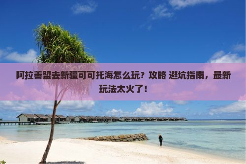 阿拉善盟去新疆可可托海哪里玩