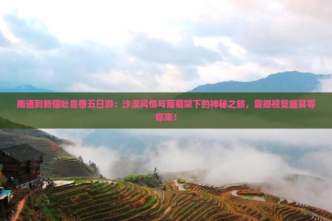 南通到新疆吐鲁番五日游