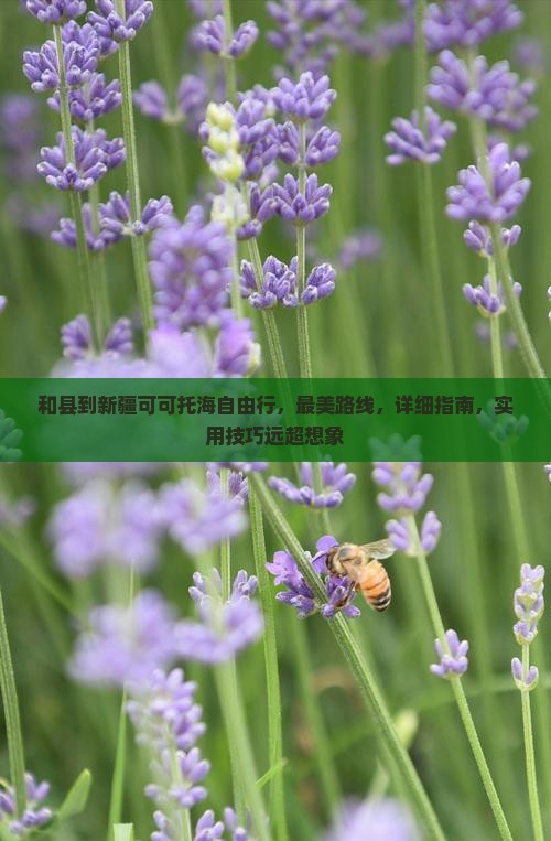 和县到新疆可可托海自由行
