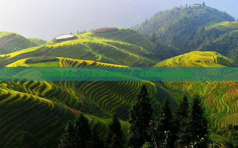 龙岩到新疆独山子大峡谷大型旅游团
