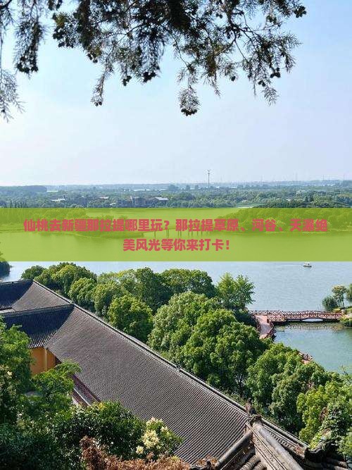 仙桃去新疆那拉提哪里玩