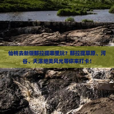 仙桃去新疆那拉提哪里玩