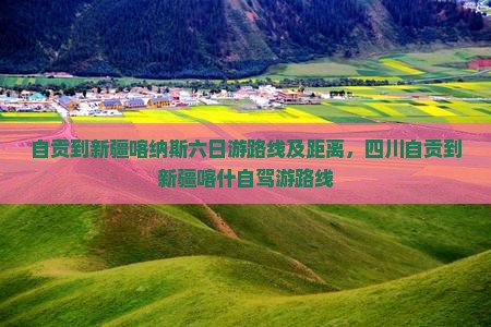 自贡到新疆喀纳斯六日游