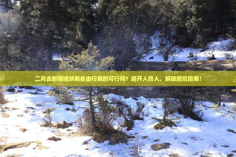 二月到新疆喀纳斯自由行