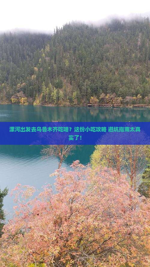 漯河去新疆乌鲁木齐旅游小吃