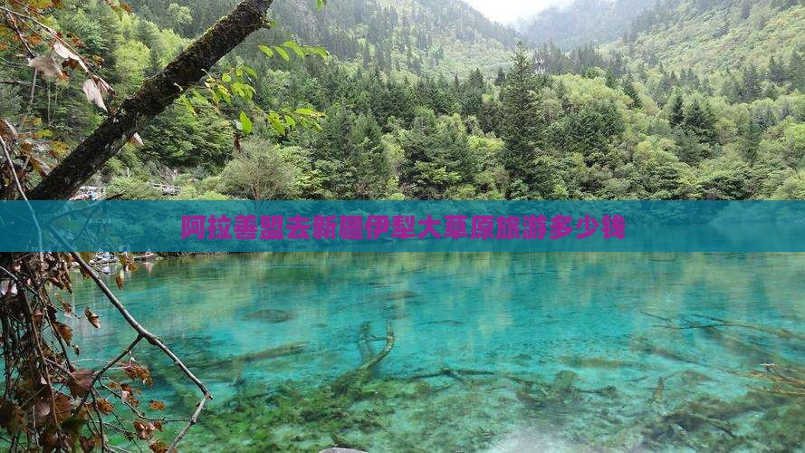 阿拉善盟去新疆伊犁大草原旅游