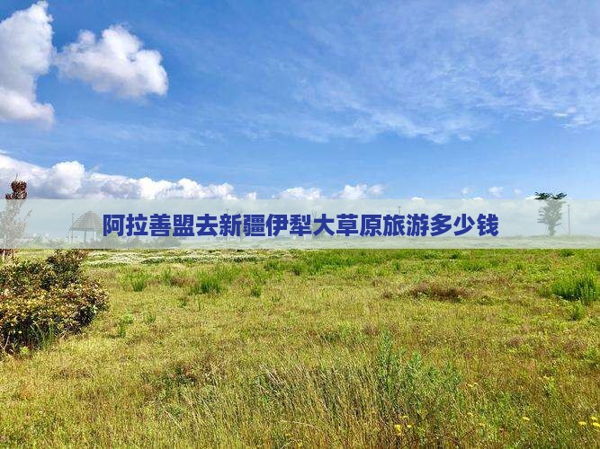 阿拉善盟去新疆伊犁大草原旅游