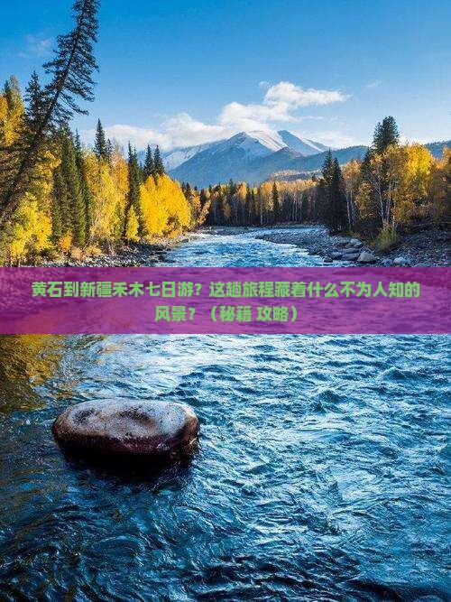 黄石去新疆禾木七日游