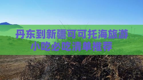 丹东到新疆可可托海旅游小吃