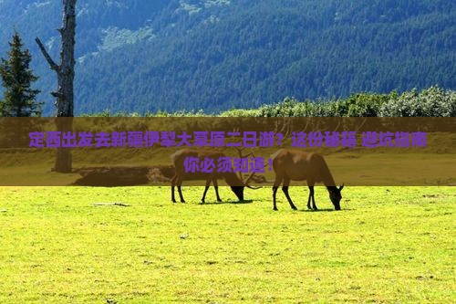 定西去新疆伊犁大草原二日游 定西去新疆伊犁大草原二日游