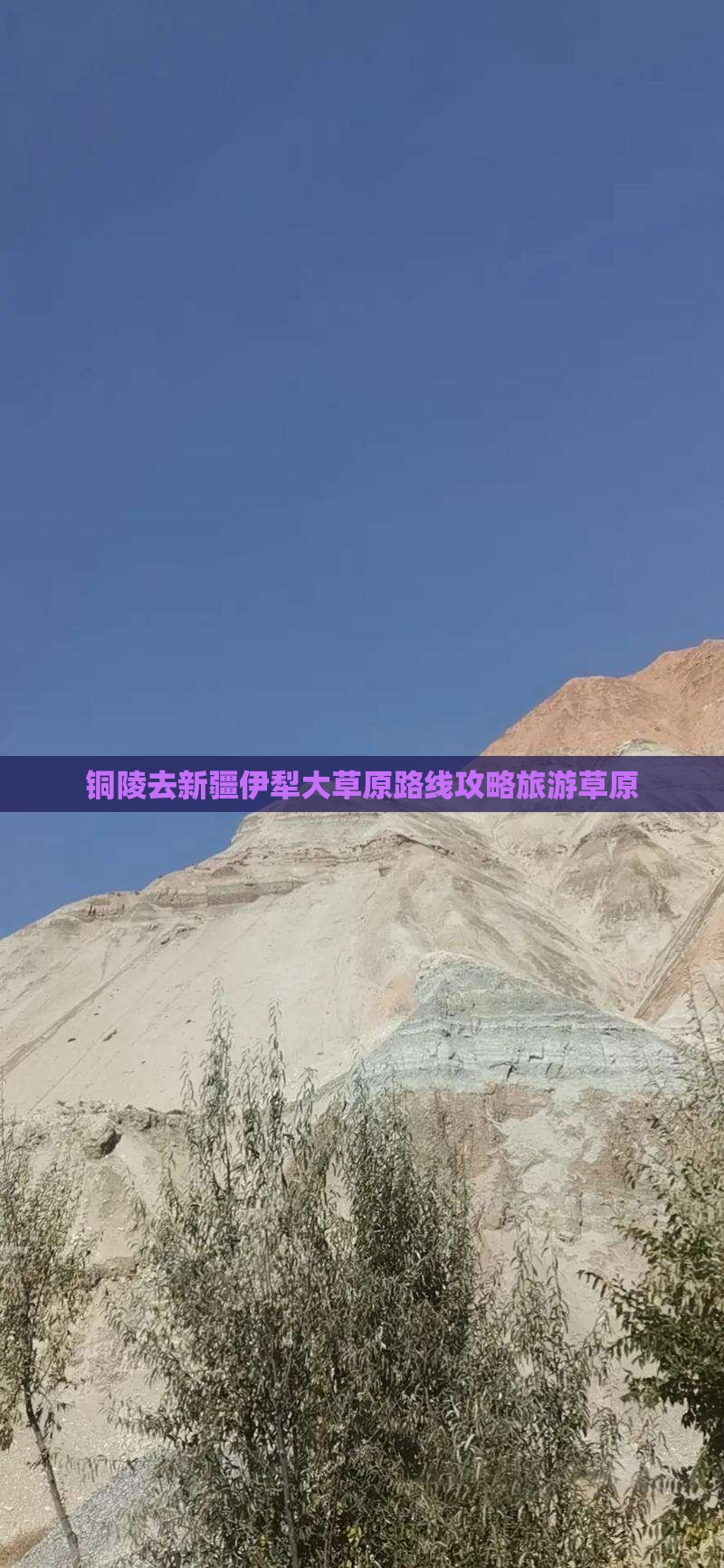 铜陵去新疆伊犁大草原自由团