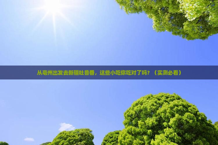 亳州去新疆吐鲁番旅游小吃