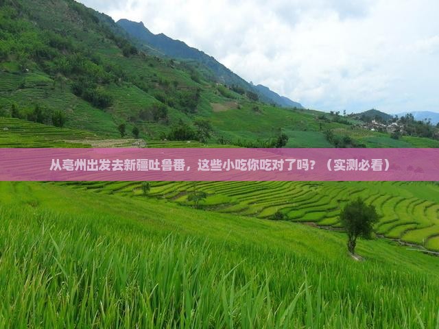 亳州去新疆吐鲁番旅游小吃